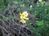 20131109_090856.jpg