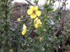 20131109_090912.jpg