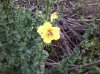 20131109_090906.jpg