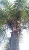 IMAG1068.jpg
