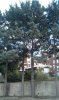 IMAG1078l.jpg