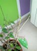 IMG_20131128_140519.jpg