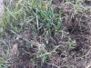 20131203_141518.jpg 20131203_141518.jpg