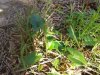 20131203_140451.jpg