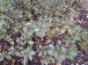20131129_111235.jpg