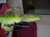 DSC02872.JPG