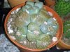 20131218_183347.jpg