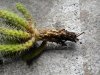 DSCN6232.jpg