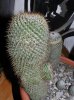 DSCN6251.jpg