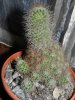 DSCN6253.jpg