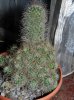 DSCN6254.jpg