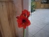 IMGP3063.jpg