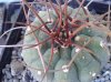 20140208_102246.jpg 20140208_102246.jpg