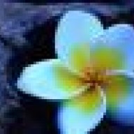 BioValentinaPiccolina