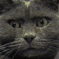 Miciagilda