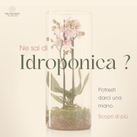 Idroponica_polimi