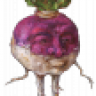turnipfarm