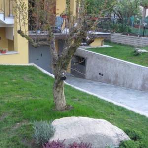 giardino in evoluzione