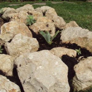 Giardinetto roccioso