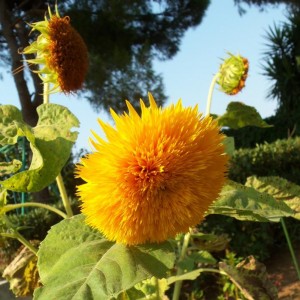 cose belle...