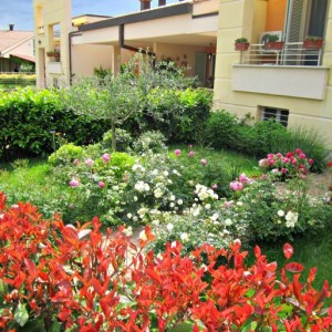 MyGarden