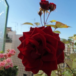 I miei tesori <3