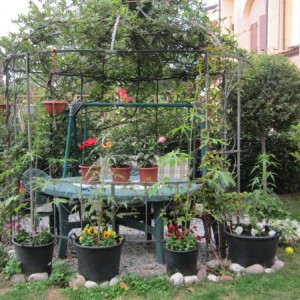 Il mio giardino 2012