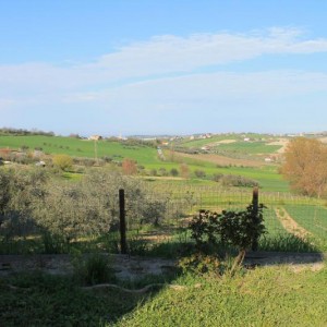 IL MIO GIARDINO agli esordi......