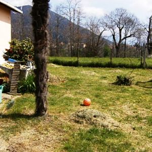 Il mio giardino:  com'è....... com' è stato ........com'era