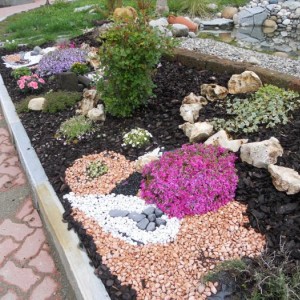 DSCN1597