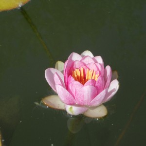 DSCN1638