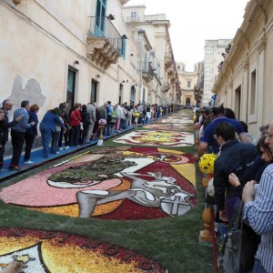 DSC01368
Infiorata 2012 Noto