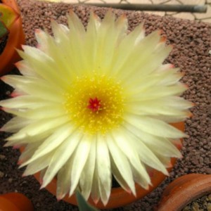 P6020352