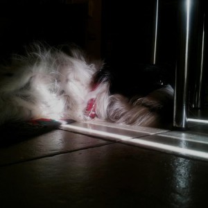 che fatica questa vita...