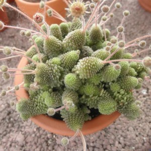 P6020358