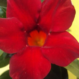 settembre 006