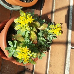 20130407 173202