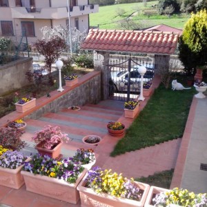 Giardino dall'alto