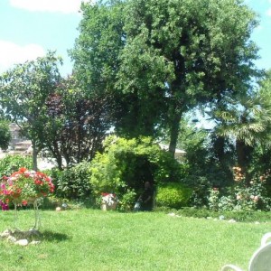 GIARDINO 2013 023