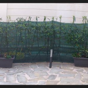 Giardino 3D