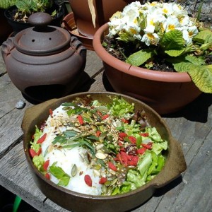 Riso con radicchi di campo, sedano selvatico, dragoncello, semi vari e bacche di goji.