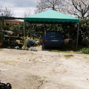 Gazebo E Pergola Da Casa (appena arrivata)