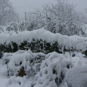 La nevicata del 2012