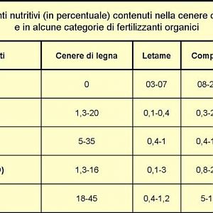 CENERE