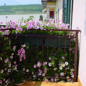 il balcone dall'interno