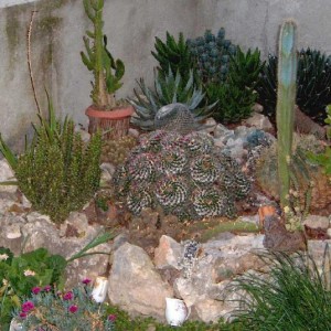 Giardino grasso 2