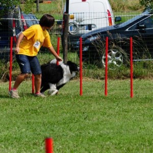 pratichiamo a livello agonistico agility dog...