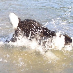 13 luglio 2007. maya ha 7 mesi. si diverte con le onde del lago di garda