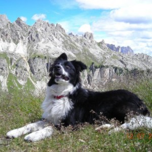 12 luglio 2007. maya ha quasi 7 mesi. vacanze in trentino. vigo di fassa