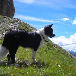 12 luglio 2007. maya ha quasi 7 mesi. vacanze in trentino. vigo di fassa